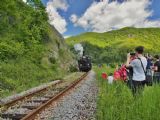 Prvá fotozastávka parného vlaku pri skalnom záreze za rýchlostnou cestou, 10.05.2014, © Juraj Vitkovský