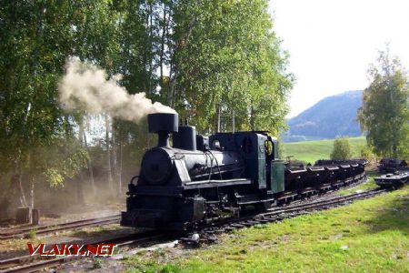 Mladějov: lokomotiva č. 5 při rozposunovávání svého vlaku - poslední pohled