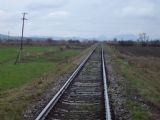 Borčice - smer Bolešov, 14.4.2006, © Tomáš Rotbauer