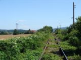 Pred Topoľčiankami. Ešte nejaký čas a koľaje sa budú hľadať ťažko (ako napr. na Brezovej pod Bradlom). 15.7.2006, © Marko Engler