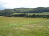 Trať vedie dole medzi stromami, Mládzovo - Cinobaňa, 23.8.2006, © Tomáš Rotbauer