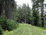18.08.2007 - Harrachov: jediný provoz na trati - sběrači lesních plodů © PhDr. Zbyněk Zlinský
