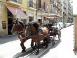 13.06.2007 - Barcelona: také městská doprava - drožka v uličce Carrer Nou de la Rambla © PhDr. Zbyněk Zlinský