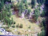 049	Typická vegetace v mezistaničním úseku Alp Grüm- Cavaglia na trati 950. 05.09.2007© Ing. Jan Přikryl