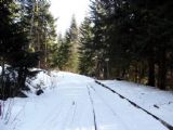 20.12.2007 - Harrachov: po trati k polské hranici vede sněžným skútrem vytvořená běžecká stopa © PhDr. Zbyněk Zlinský