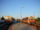 Setkání Bzmotů na dlouhých nástupištích stanice Zalalövö - vlevo vlak do Körmendu, vpravo do Zalaegesrzegu, 16.7.2007, © Aleš Svoboda