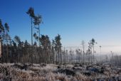 30.12.2007 - Tatry: bez slov © Boris Dzurňák