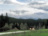 04.05.2008 - Východná: Tatry za chvíli zmizí v mracích © PhDr. Zbyněk Zlinský