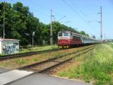 31.5.2008 - ČB-Kněžské Dvory -  242 201 s R od Plzně, nalevo vlečka © Matěj Procházka