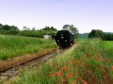 07.06.2008 - zrušená zastávka Skržice (dříve Olšina) © Stanislav Plachý