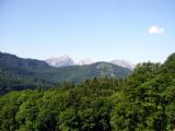 Výhled ze zámku Hohenschwangau, 22.6.2008 © Jiří Mazal