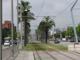 Barcelona- zatravněný svršek tramvajového systému Trambaix u zastávky Maria Cristina. 15. 05. 2008 © Lukáš Uhlíř