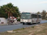 13.06.2008 - Skanes: příklad dopravy - kočár a autobus metropolitní linky před hotelem Ruspina © PhDr. Zbyněk Zlinský