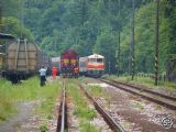 Rýchlik do Zvolena prechodí Uľankou, 31.5.2008, Uľanka, © Bc. Martin Horňák