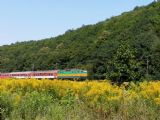 27. 8. 2008 - Ťahanovce - Kostoľany n. Hornádom, Peršing a záplava žltej © Mgr. Michal Kočuta