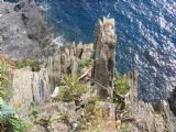 19.10.2008 - Národný park Cinque Terre © František Halčák