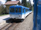 8.5.2008 - Rigi - najstaršia zubačka v Európe, Rigi Kulm - Arth Goldau © František Halčák