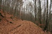 Pokračujeme v bádaní, 15.11.2008, © Igor Molnár