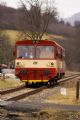 810 627 čaká na vchode do Bylnice na ukončenie posunu v stanici, 7.3.2009, Bylnice, © Bc. Martin Horňák