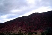 Colorado, červené skaly © Peter Rusko