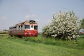 9.5.2009 - Nezamyslice: ještě jednou z bývalé trati do Morkovic © Radek Hořínek