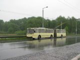 16.05.2009 - Hradec Králové: trolejbus č. 80 linky 1 na Brněnské třídě © PhDr. Zbyněk Zlinský