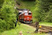 ...vchádzajú do Harmanca, 30.5.2009, Harmanec Jaskyňa, © Bc. Martin Horňák