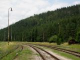 Ihličnatý les nad červenoskalskou stanicou - Červená Skala, 1.8.2009 © Peter Salaj