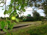 15.8.2009 - areál žst. Tovačov, zátiší na stanici © Stanislav Plachý