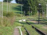 61 Staničná pohoda, 15.08.2009, © Ing. Miloš Šefčík.