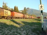 25.9.2009 - Revelstoke, BC. Nekonečný (prázdny) obilný vlak smerom na východ. Pohľad na východ © Michal Stríž