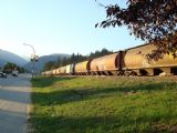 25.9.2009 - Revelstoke, BC. Nekonečný (prázdny) obilný vlak smerom na východ. Pohľad na západ.  © Michal Stríž