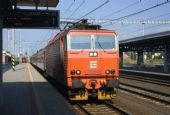 02.08.2009 - Poprad: 163 030- R 441 Excelsior © Jiří Řechka