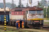 751 023 na Mn81271, Trebišov, 14.9.2009, © Bc. Martin Horňák