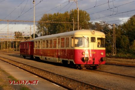 Moknutí se „singrovkou“