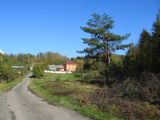 25.10.2009 - Pozděchov, za borovicí se měla trať mírně točit na levo, za domem měl být mezi dvěma kostely vybudován tunel © Stanislav Plachý