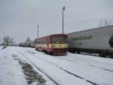 16.01.2010 - Veleliby: 742.173-8 + 742.192-8 s obilním vlakem a 810.668-4 přijíždějící jako Os 15607 Nymburk hl.n. - Městec Králové © PhDr. Zbyněk Zlinský