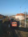 S-Bahn se blíží k zastávce Rostock-Parkstrasse, 9.12.2006 © Tomáš Kraus