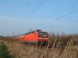 Pobřežní vegetací projíždí S-Bahn mezi zastávkami Evershagen a Marienehe, 18.2.2007 © Tomáš Kraus