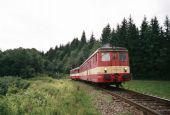 28.05.2008 - úsek Ostružná-Ramzová: 831.105, Os3613 © Radek Hořínek