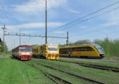 Siemens Desiro - Classic- řada 642.831-DB, RegioJet, 29.4.2010, Osek, © Jan Kubeš