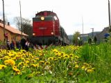 DOPLNENÉ: Narodeninový vlak po príchode do Spišskej Belej - horného nádražia, © štb