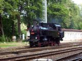 30.08.2003 - Teplice n.M.: 423.009 při oslavách 95. výročí trati Trutnov - Teplice n.M. © PhDr. Zbyněk Zlinský