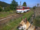 913 023 přijíždí dne 25.9.2009 jako Os 4008 do Turzovky zastávky © Marek Kováč