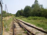 Nepoužívaná trať z Gulbene do ruského Pytalova. 17.8.2010 © Jan Přikryl