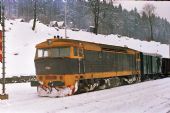 15.01.1995 - Hanušovice, 752.068 pk Mn 82631 © Václav Vyskočil