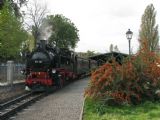 24.10.2010 - Zittau: 99.787 v čele vlaku DPN 208 Zittau - Kurort Oybin © PhDr. Zbyněk Zlinský