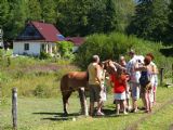 Miestna atrakcia v stanici Balnica na polceste do Smolníka, odtiaľto to pojde už len dole kopcom. 22. 8. 2010 © Radovan Plevko