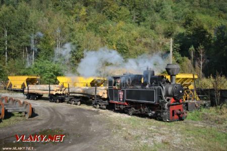 Prožijte jaro 2011 na lesní železnici Vişeu de Sus a Moldoviţa!
