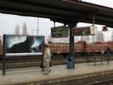 12.02.2011 - Val. Meziříčí: Ex 220 ''Detvan'' Zvolen osob.st. - Praha hl.n. si z ''území cizího státu'' veze sekyru, která zpozdí i náš vlak © PhDr. Zbyněk Zlinský